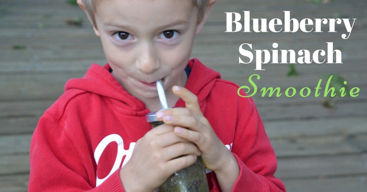 No need to sacrifice nutrition on busy mornings. In less than the time it takes to pour a bowl of cereal you can have this nutrient packed blueberry spinach smoothie on the table!