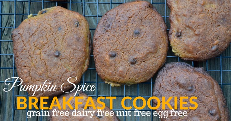 I've got a solution for your busy weekday mornings. These grain free pumpkin spice breakfast cookies are so easy to make and loaded with good stuff. Plus kids love them!