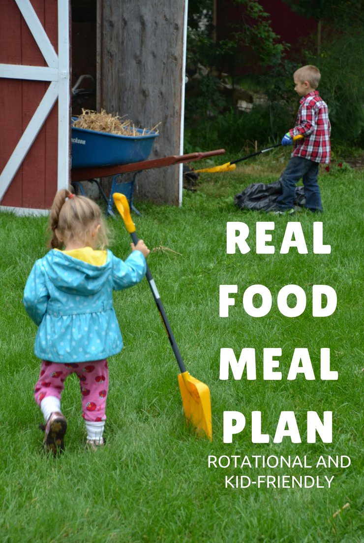 This week's real food meal plan and agenda focus on doctor appointments, packing and super simple meals. I'll be spending most of my time out of the kitchen.