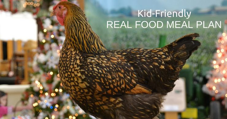 This week's kid-friendly real food meal plan and agenda focus on getting back into routines, starting school and making nourishing food.