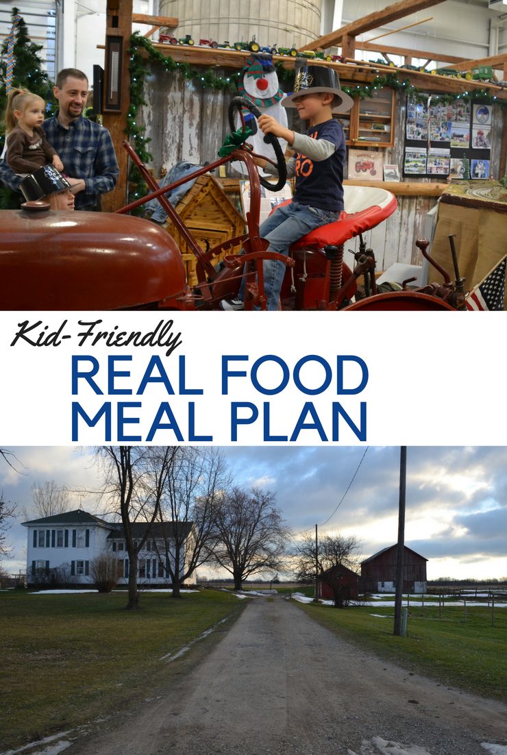 This week's kid-friendly real food meal plan and agenda focus on getting back into routines, starting school and making nourishing food.