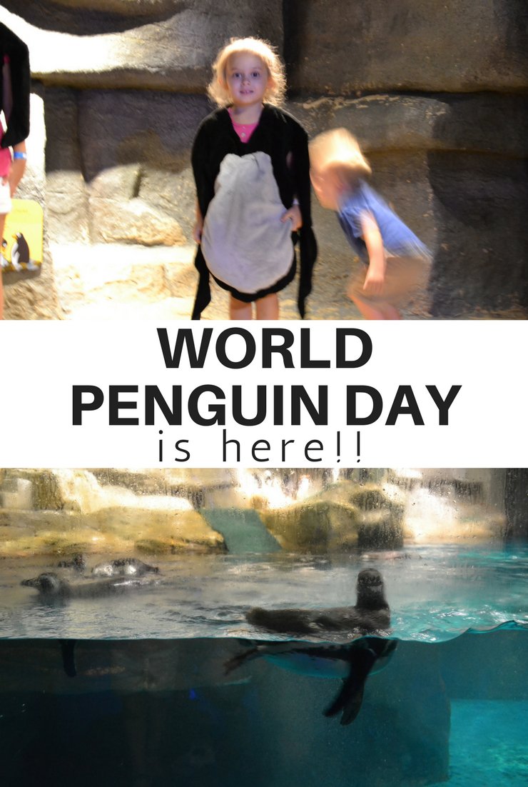 We're celebrating something special today - World Penguin Day! We're taking a waddle walk and heading to the zoo to check out some penguins in person.