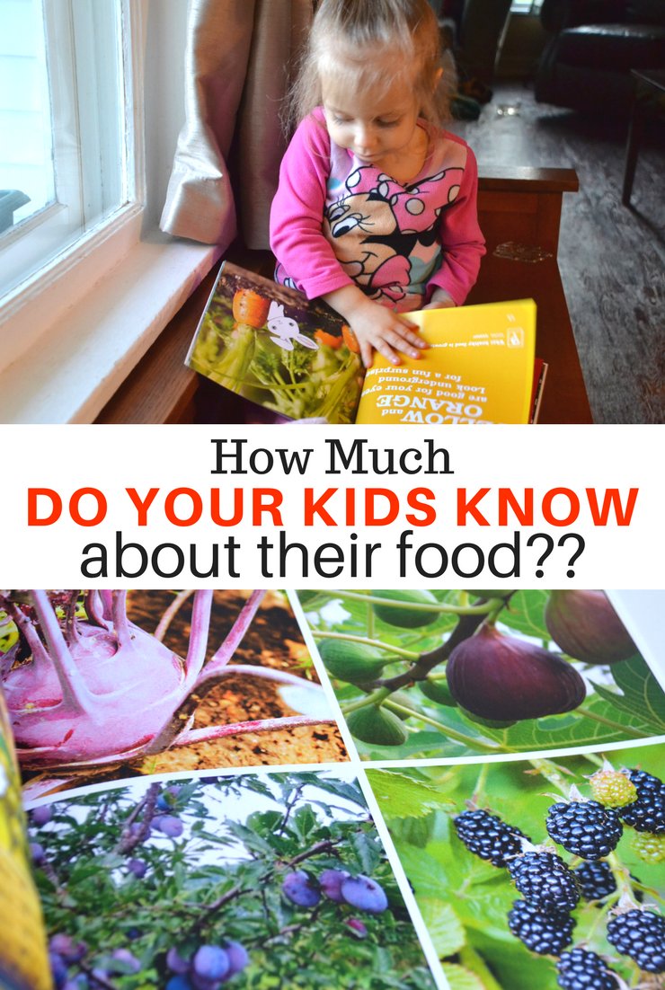 We live in a world where food comes in boxes and bags. Which leads to the question...how much do your kids know about their food?