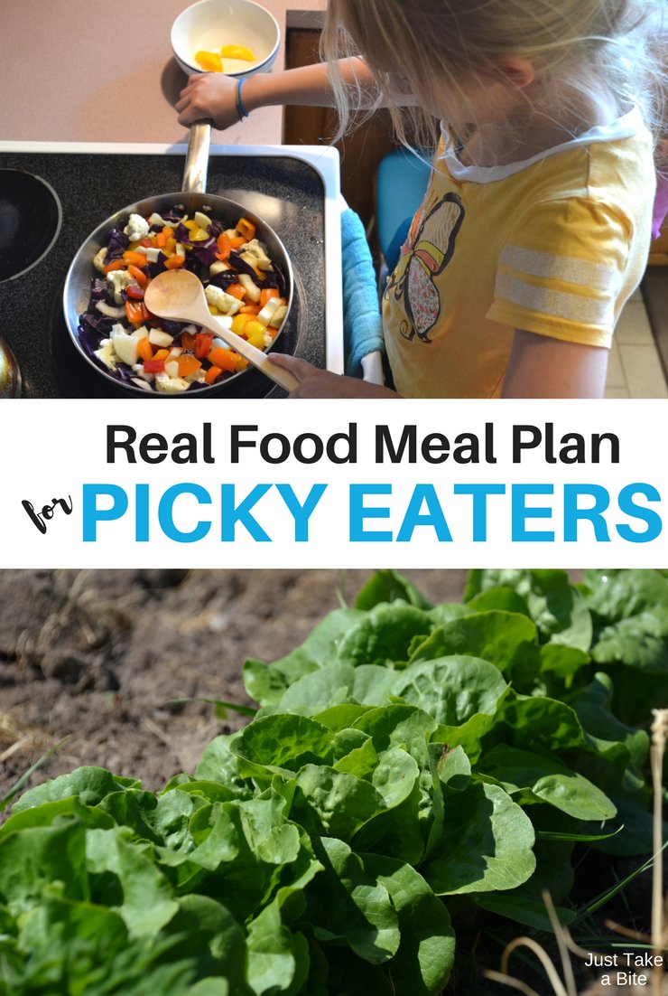 This week's real food meal plan for picky eaters includes lots of zucchini, cabbage and beans! The garden is overflowing.