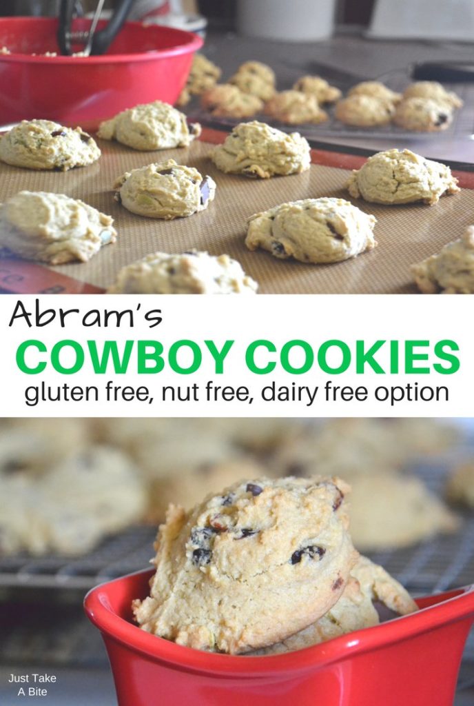 Abram's Cowboy Cookies {gluten free, nut free, dairy free option}