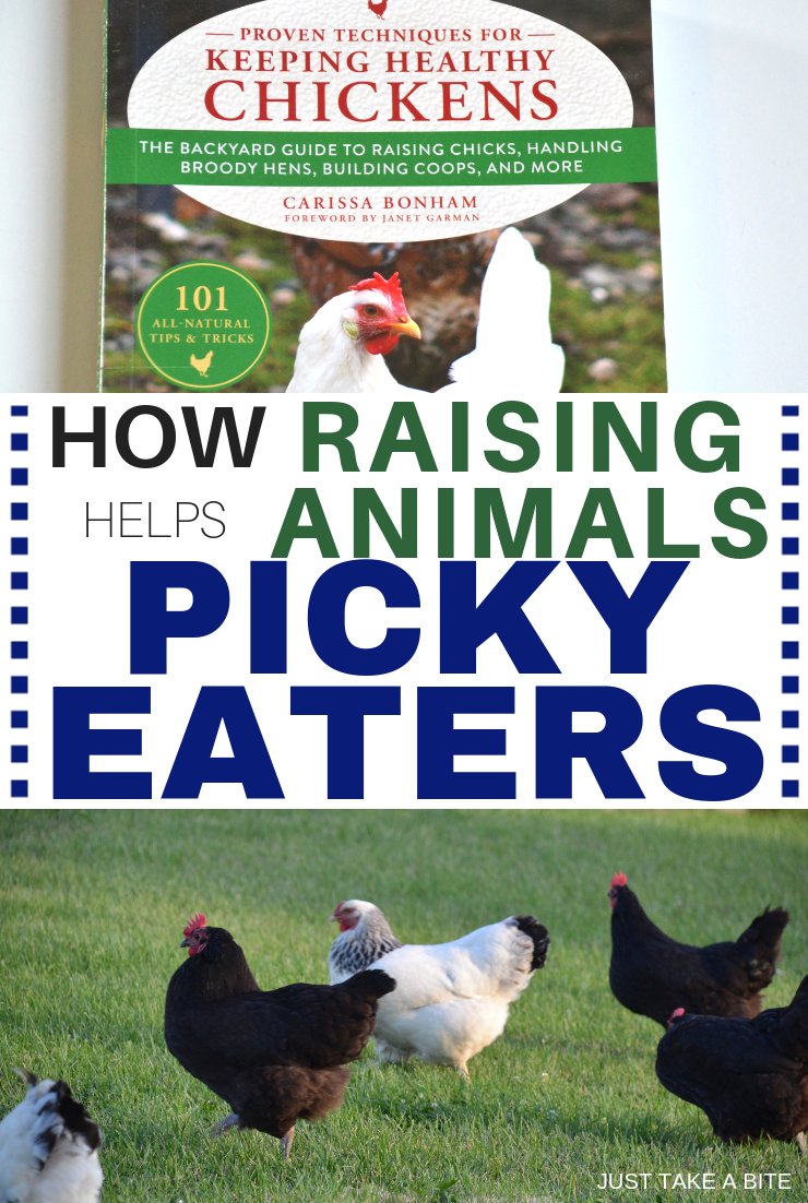 Can raising animals help picky eaters? You bet it can! By teaching the new generation about where their food comes from we will raise adventurous eaters and healthy individuals.