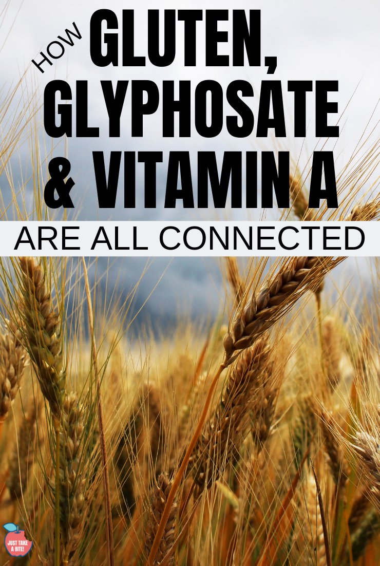 I have good news for my gluten free readers...you probably are not actually gluten intolerant! Even if you have Celiac Disease there is hope. Is gluten really the problem? Nope! Glyphosate impacts Vitamin A Toxicity significantly, causing the gluten-related problems.