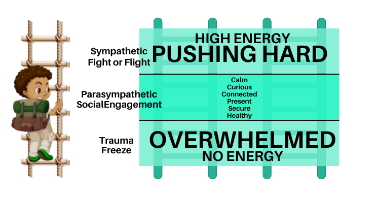 Nervous system regulation for kids - how to recognize it and what to do about it.